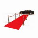 Red Carpet - Image 2